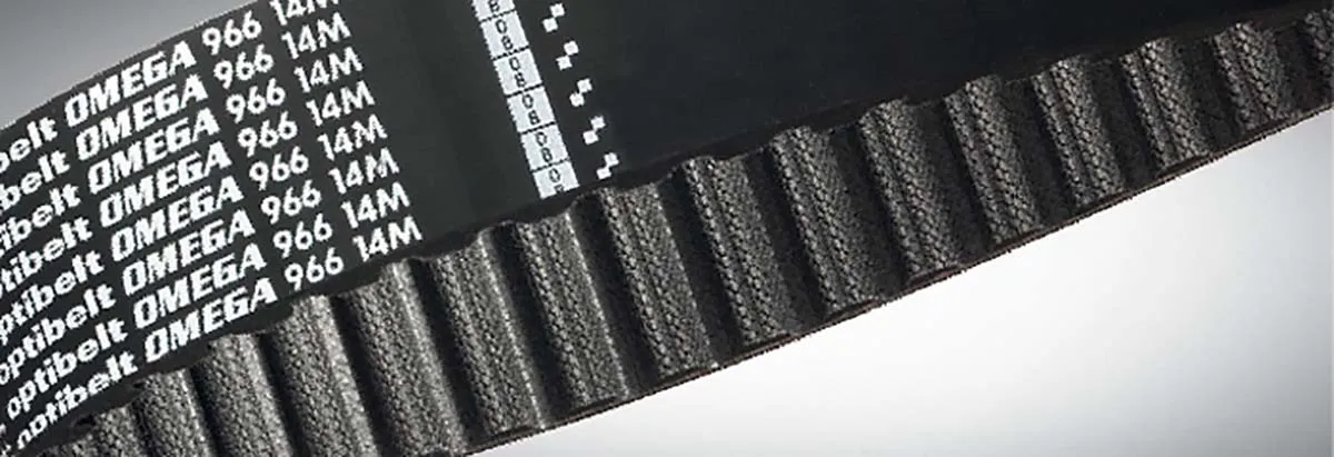 Cinghia sincrona OPTIBELT, 110 denti, passo 8mm, dimensioni 880mm x 20mm, in Gomma